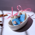 Wax Sachet  Set Of 2 Aqua 2 Floral